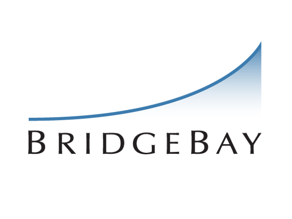 logo for bridgebay consulting